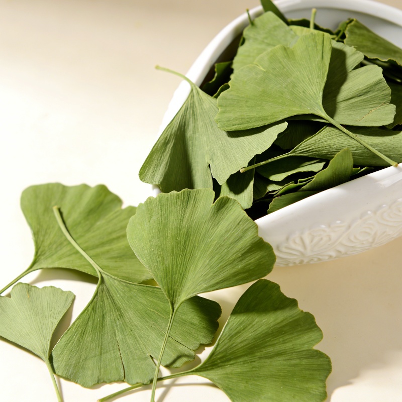 Soap Making Essentials - Quality Ginkgo Biloba Dried Leaves For